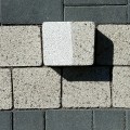 IMG20250820110428.jpg