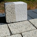 IMG20250820110539.jpg