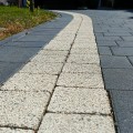 IMG20250820110526.jpg