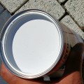 IMG20250820110439.jpg