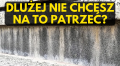 Screenshot 2024-12-27 at 10-21-04 PREPARAT DO USUWANIA WYKWITÓW WAPIENNYCH 1L BARDZO SKUTECZNY! (7a2STP) • Cena Opinie • Impregnaty 16460004990 • Allegro.png